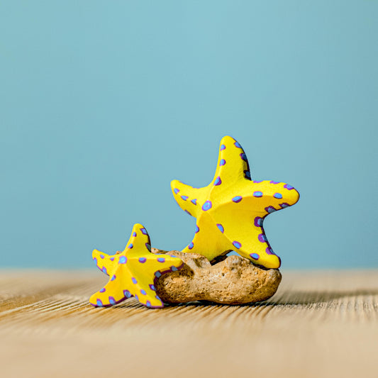 Bumbutoys Starfish SET